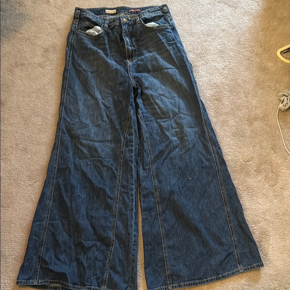 Anthropologie- Pilcro Blue Flare Wide-Leg Jeans